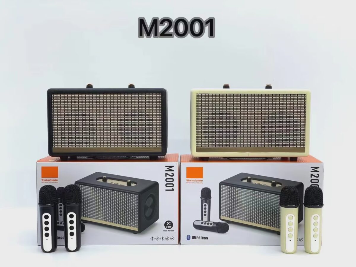 Speaker  Sans fil Hifi Audiophile Home Audio Haut-parleur BT avec double micro M2001 – Image 3