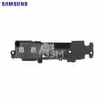 Haut-Parleur Original Samsung Galaxy Z Flip 5 5G F731