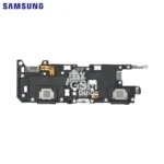 Haut-Parleur Original Samsung Galaxy Tab A7 4G T505/Galaxy Tab A7 T500 (Droite)