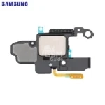 Haut-Parleur Original Samsung Galaxy Tab S6 Lite P610/Galaxy Tab S6 Lite 4G P615 (Haut)
