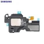 Haut-Parleur Original Samsung Galaxy Tab S6 Lite P610/Galaxy Tab S6 Lite 4G P615/Galaxy Tab S6 Lite 2022 P613/Galaxy Tab S6 Lite 2022 4G P619/Galaxy Tab S6 Lite 2024 P620/Galaxy Tab S6 Lite 2024 4G P625 (Bas)